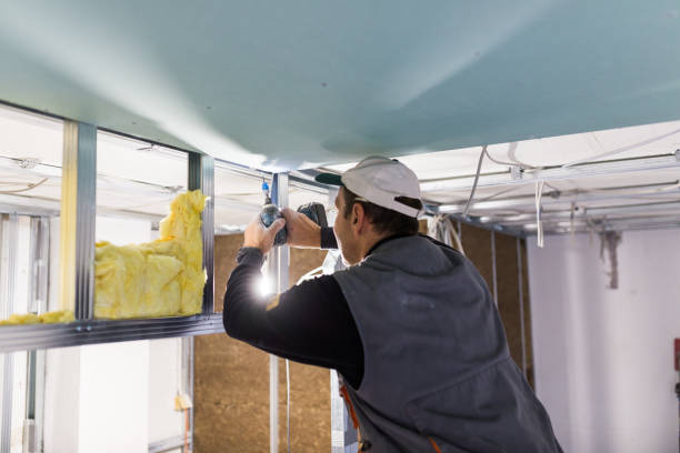 Best Residential Insulation Services  in Mchenry, IL