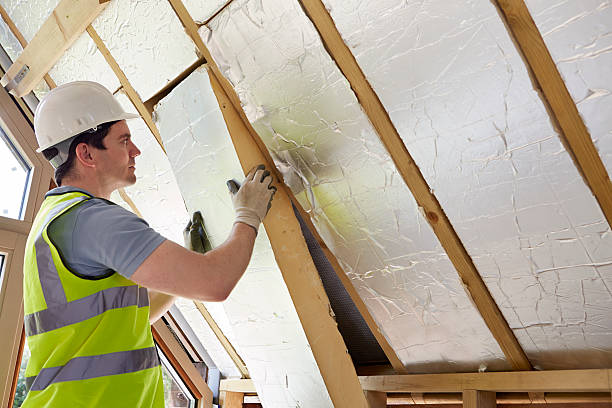 Best Insulation Inspection Services  in Mchenry, IL