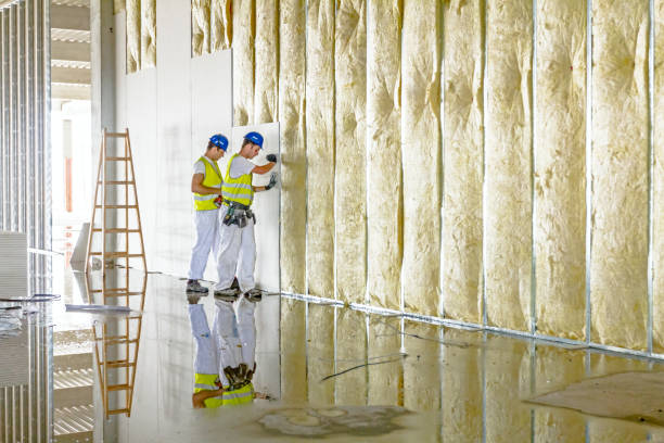 Best Wall Insulation Contractor  in Mchenry, IL